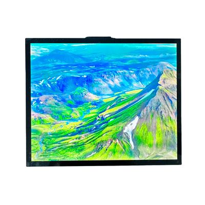 kopen T-CON TFT LCD-module TFT-scherm 19 inch All IPS Viewing 470cd Lichtsterkte online manufacture