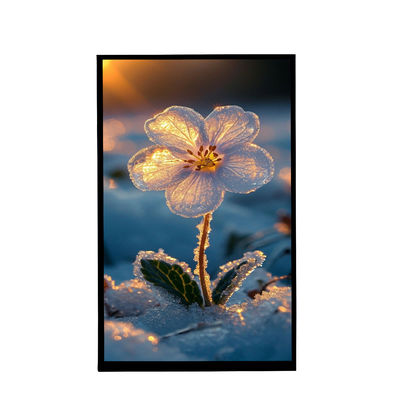 kopen 10.1 inch portret scherm IPS Viewing 800x1280 Resolutie Tft Lcd Display Voor auto online manufacture