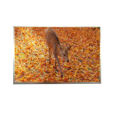 8' IPS FHD LVDS TFT Display 1000cd Lichtsterkte 1920*1200 Resolutie