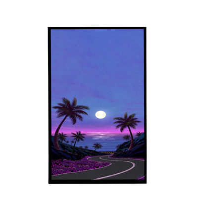 10.1 inch TFT-LCD-scherm Alle kijkhoeken Transmisieve verbindingspin 40PIN opslagtemperatuur -30°C -70°C