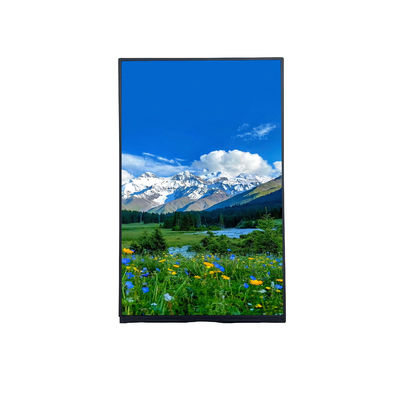 Portret 10,1 inch FHD TFT LCD Module T-con Board met IPS kijkhoek en resolutie 1200*RGB*1920