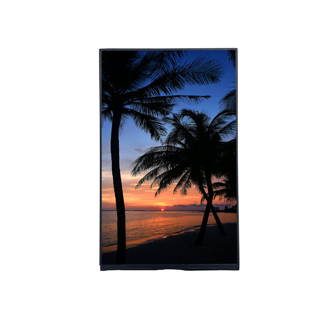 Portret 10,1 inch FHD TFT LCD Module T-con Board met IPS kijkhoek en resolutie 1200*RGB*1920 1