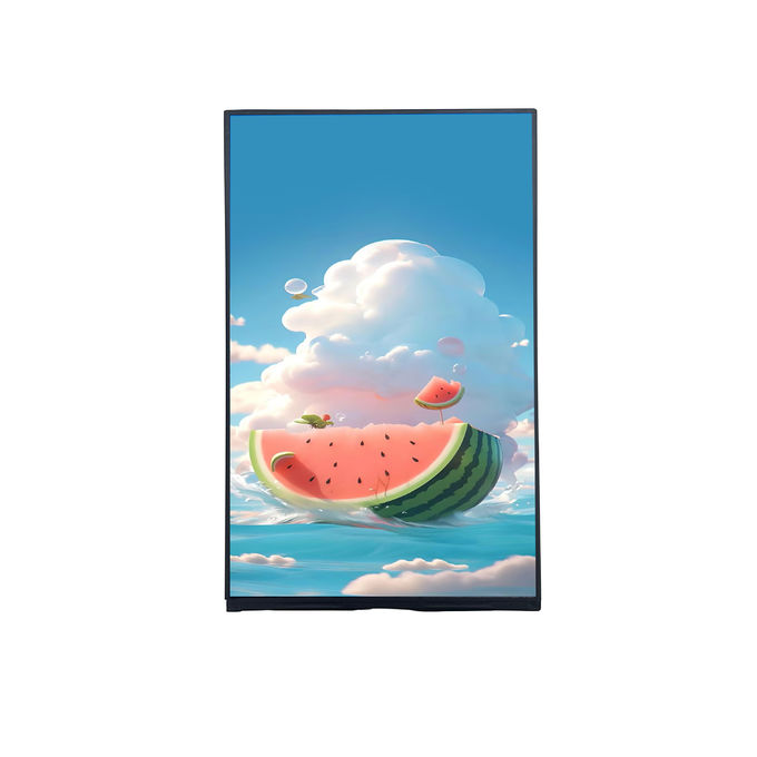 Portret 10,1 inch FHD TFT LCD Module T-con Board met IPS kijkhoek en resolutie 1200*RGB*1920 0